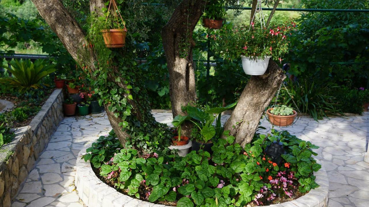Apartmani Tatjana Ραμπ Εξωτερικό φωτογραφία